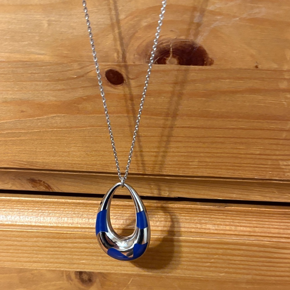 Calvin Klein Silver and Blue Oval Necklace